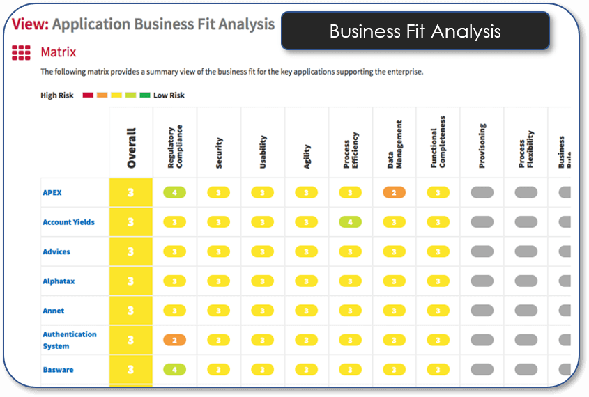 Application Business Fit Analysis